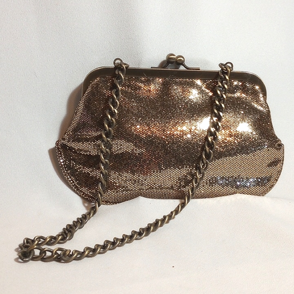 Express Metallic Bag
